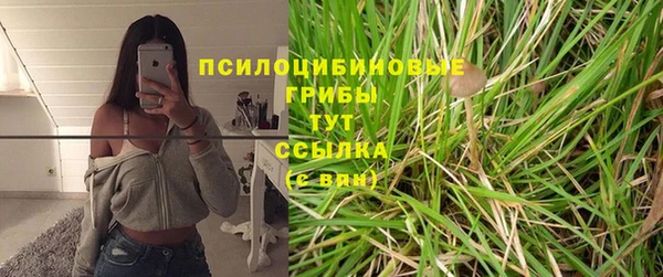 твердый Богородск